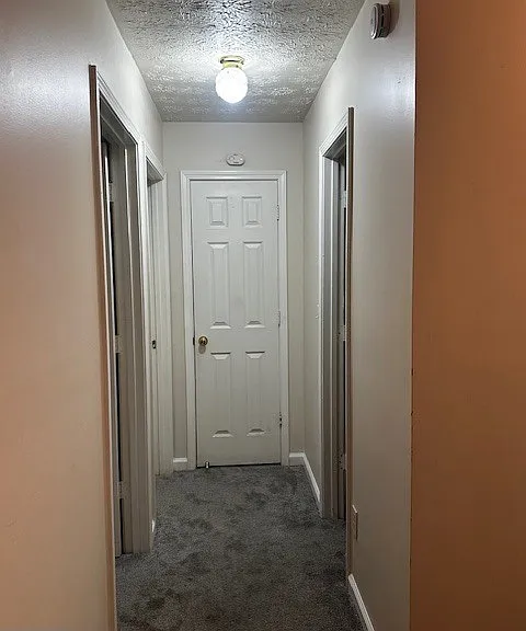 5675 Hampton Ct — Photo 16