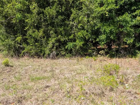 Se Ave Lot 337-2, Trenton, FL 32693