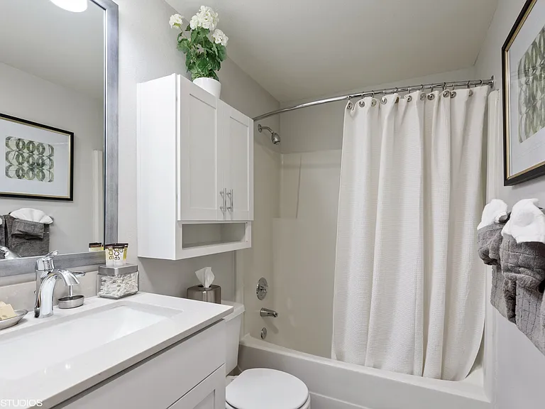 Undermount Sink, Framed Mirror, Curved Shower Rod