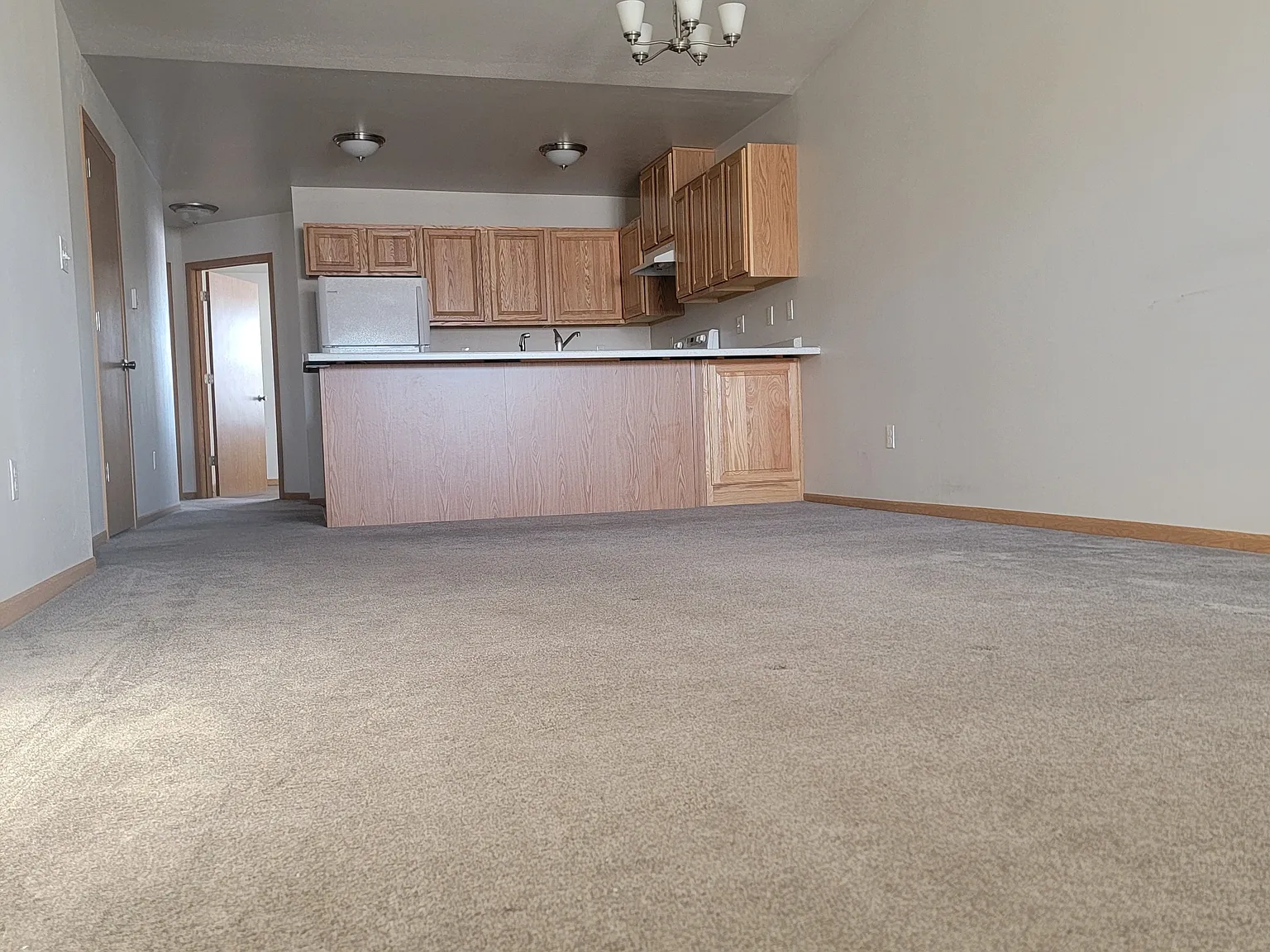 2 bed, 1100 sqft, $1,245 — Photo 4