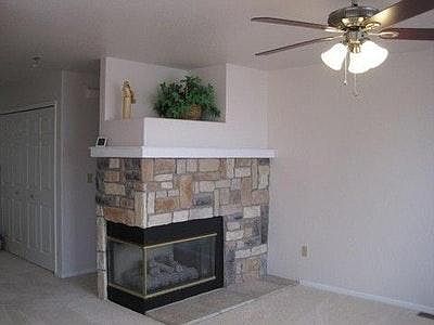 beautiful gas fire place
