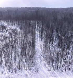 00 155th Ave, Boyd, WI, 54726