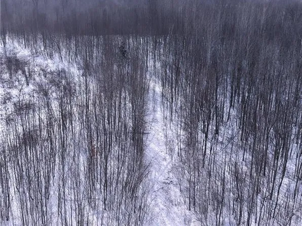 00 155th Ave, Boyd, WI 54726