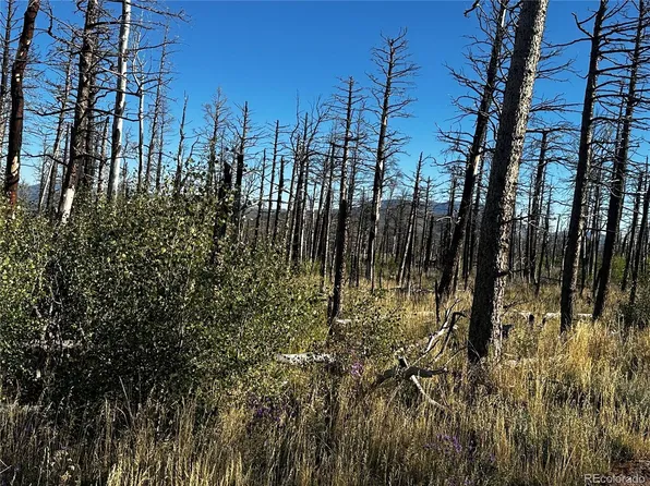 2268 Port Loop Drive LOT 2268, Fort Garland, CO 81133