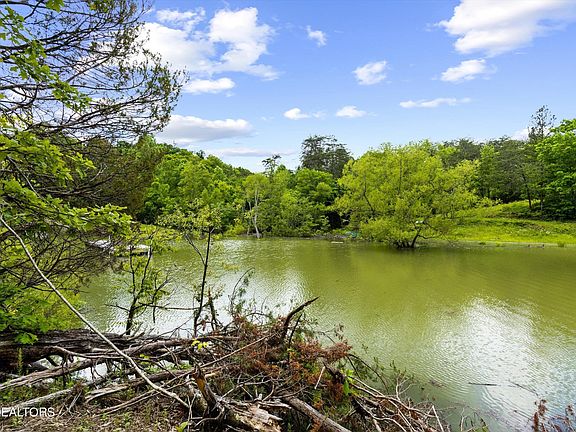 5th image of 1741 Gator Point Rd