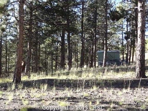2nd image of 139 Mohave Creek Trl