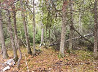 PARCEL Ponchartrain Shores Rd #F, Hessel, MI 49745