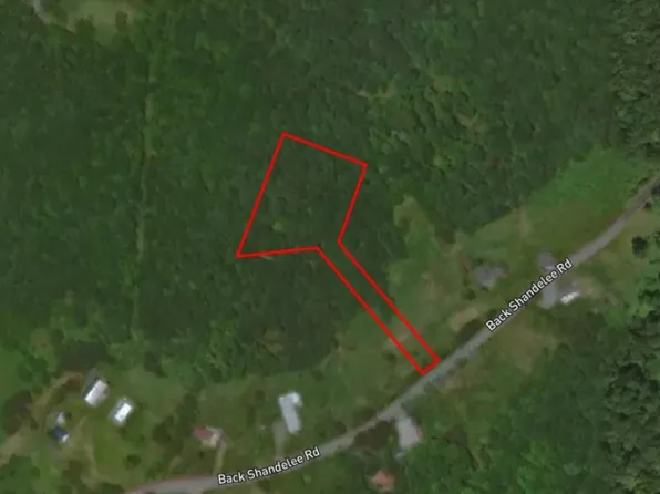 Lot 1 Back Shandelee Road, Livingston Manor, NY 12758