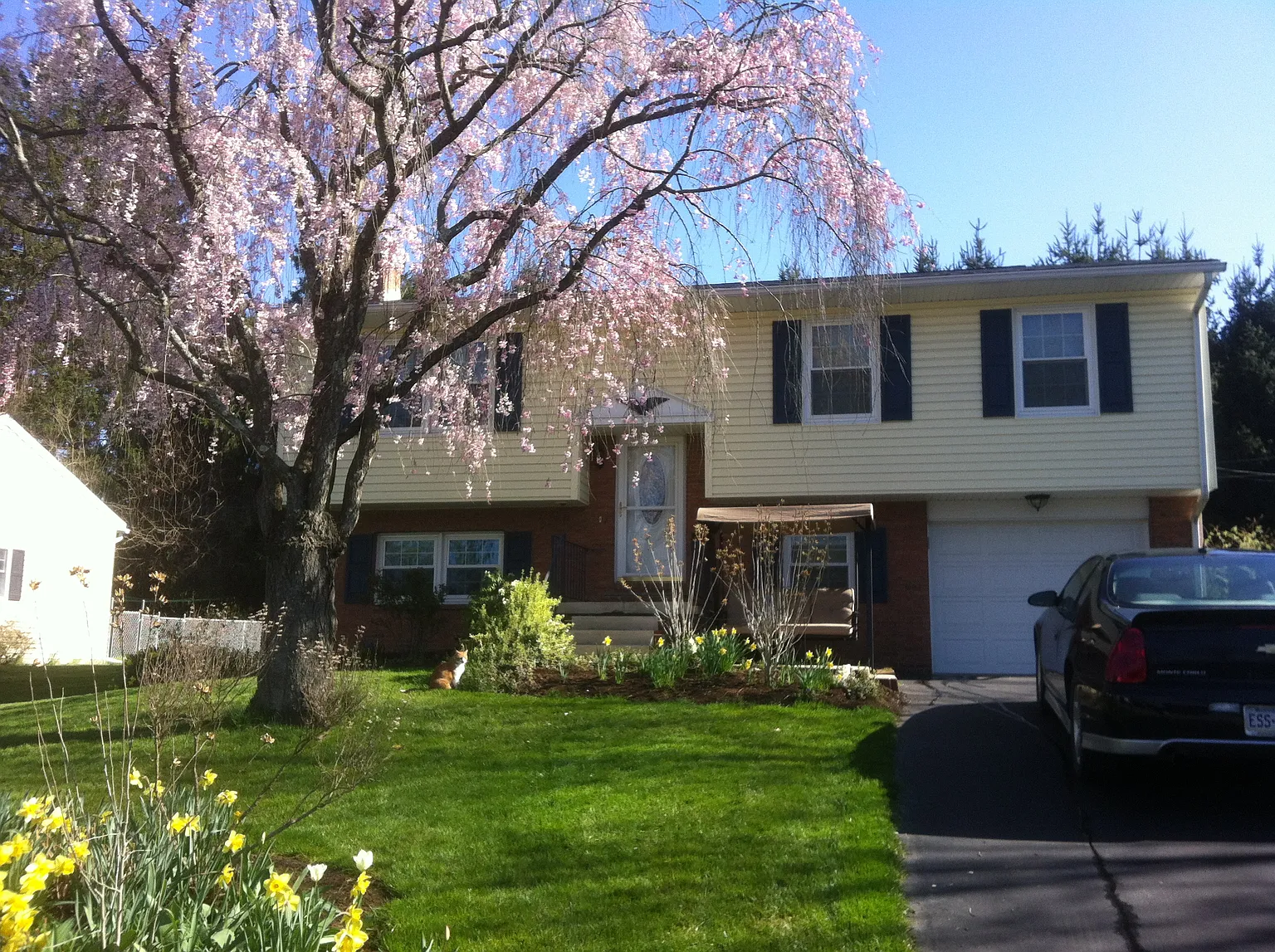 202 Charles Rd photo 1