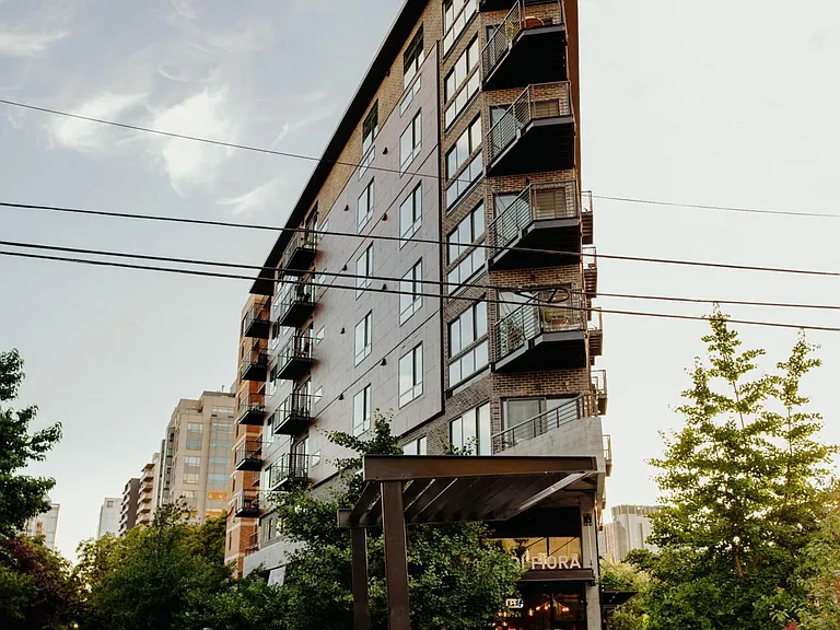 The Point — Photo 21