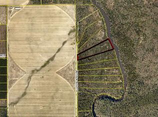 1502 NE Withla Bluffs Way, Lee, FL 32059