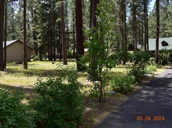 207 Lundy Ln, Blairsden, CA 96103