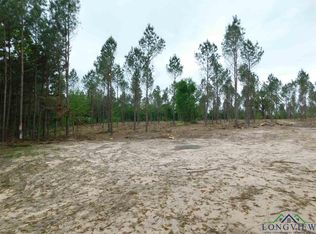 Falcon View Dr, Diana, TX 75640