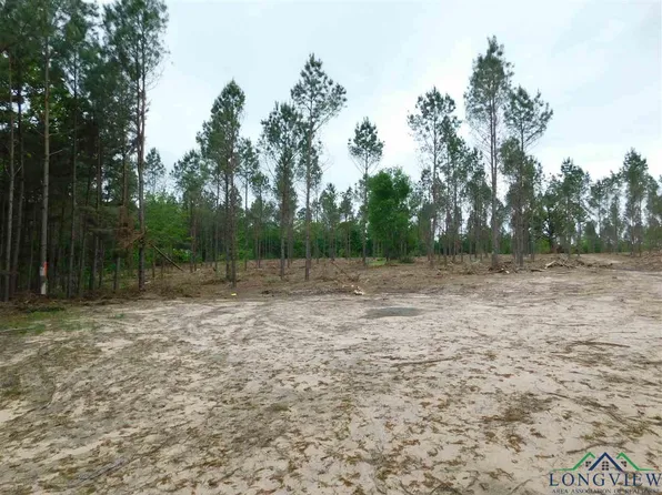 Falcon View Dr, Diana, TX 75640