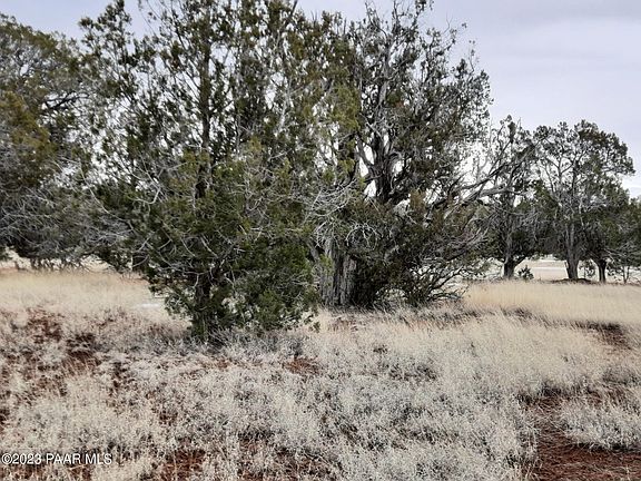 5th image of LOT 1217 Shadow Mountain Pkwy