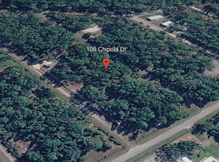 108 CHIPOLA DRIVE LOT 19, GEORGETOWN, FL 32139