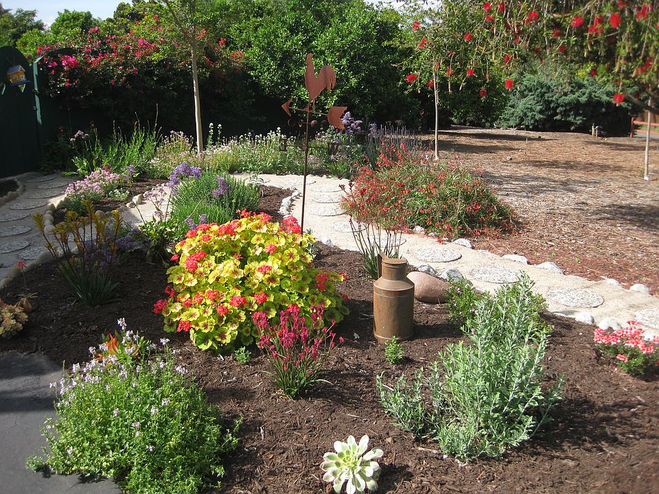 Front yard garden and path