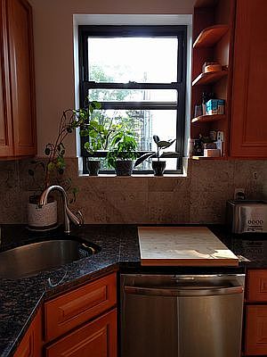 4th image of 667A 5th Ave #3