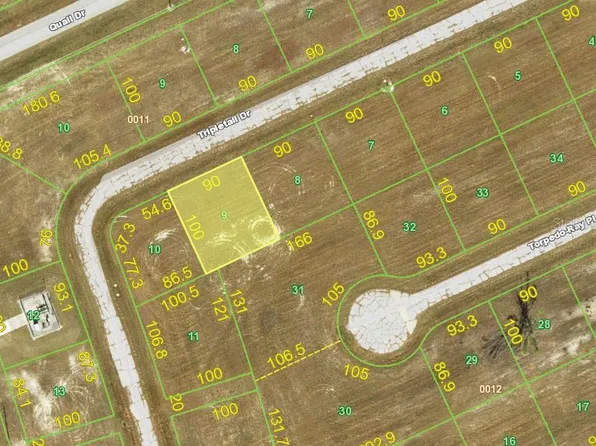 12282 TRIPLETAIL DRIVE LOT 9, PLACIDA, FL 33946