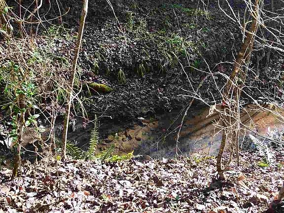 4th image of 39 Bryant Hollow Way Lot 39