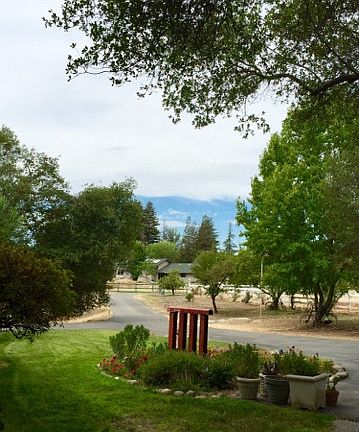 Looking from your front yard