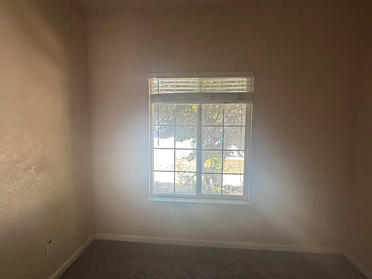 393 Mosburg Loop — Photo 15
