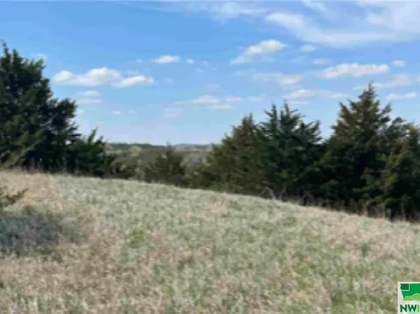 32172 242nd St, Onawa, IA 51040