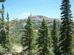 194 W Zion View Dr, Brian Head, UT 84719