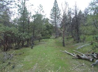 2451 Bald Mountain Rd, West Point, CA 95255
