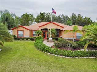 10334 Bloomfield Hills Dr, Seffner, FL 33584