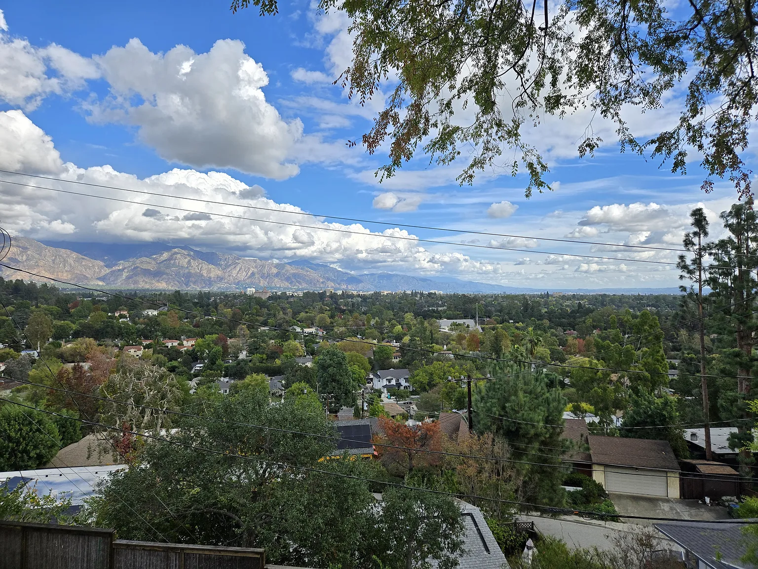 300 Sequoia Dr — Photo 2