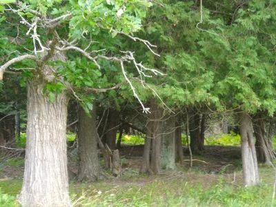 0 Howard Rd, Gladwin, MI, 48624