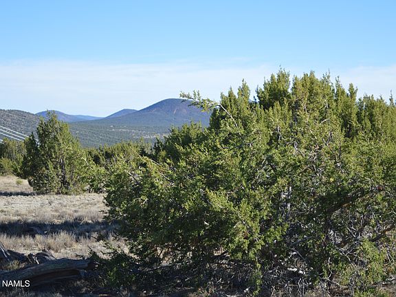 5th image of 444 Mountain Cat Rd