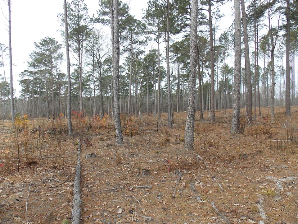 2nd image of 4 E Mosley Rd #4