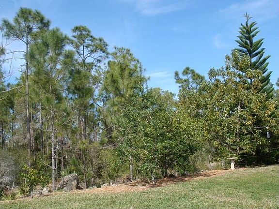 preserve and canal view