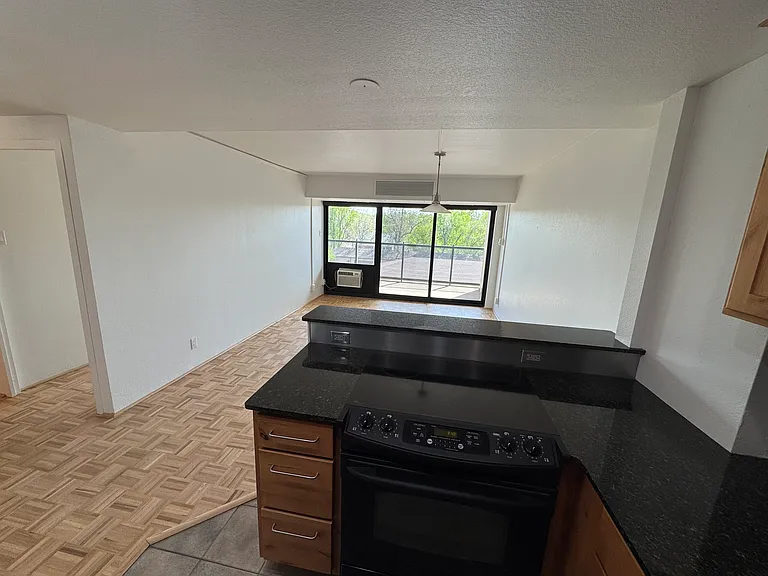 417 E Kiowa St #405 — Photo 13