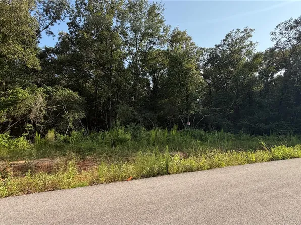 217 Kings Ct Lot 6, Dayton, TX 77535
