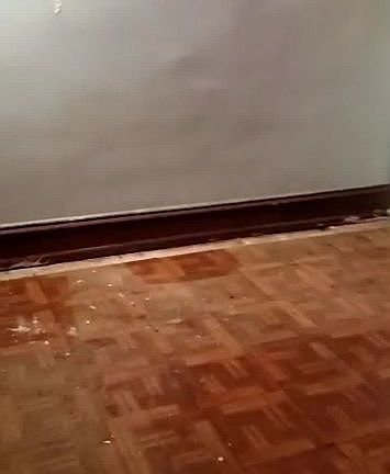 4th image of 3529 Frankford Ave