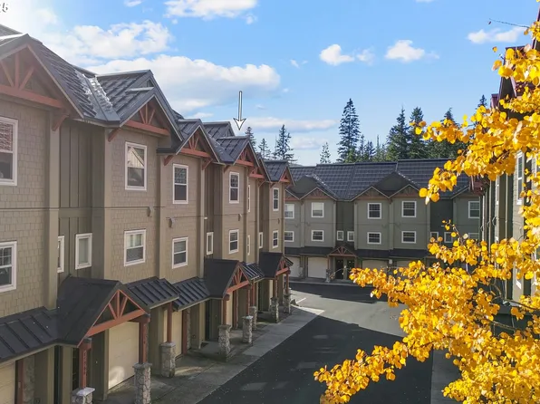 87926 E Alpenglow Ln #61, Government Camp, OR 97028