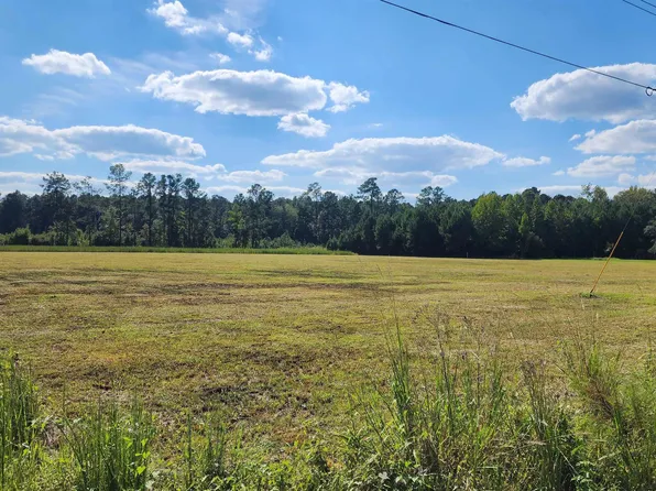 Lot 2 Hemingway Hwy., Hemingway, SC 29554