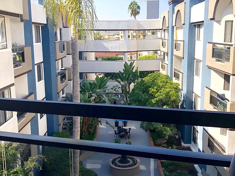 Palm Court — Photo 10