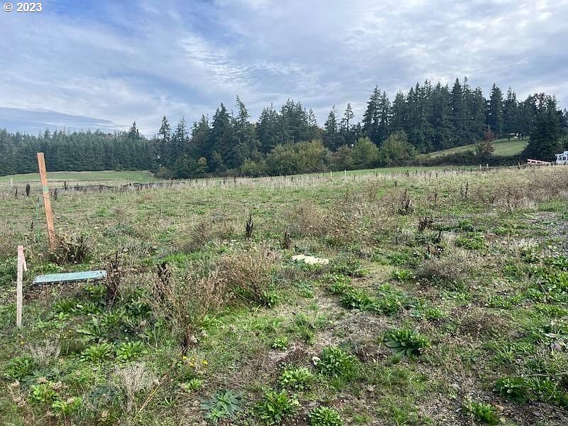 769 Riley Dr Silverton OR Zillow