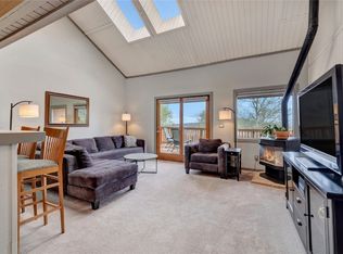 23055 Schussmark Trl, Oak Creek, CO 80467