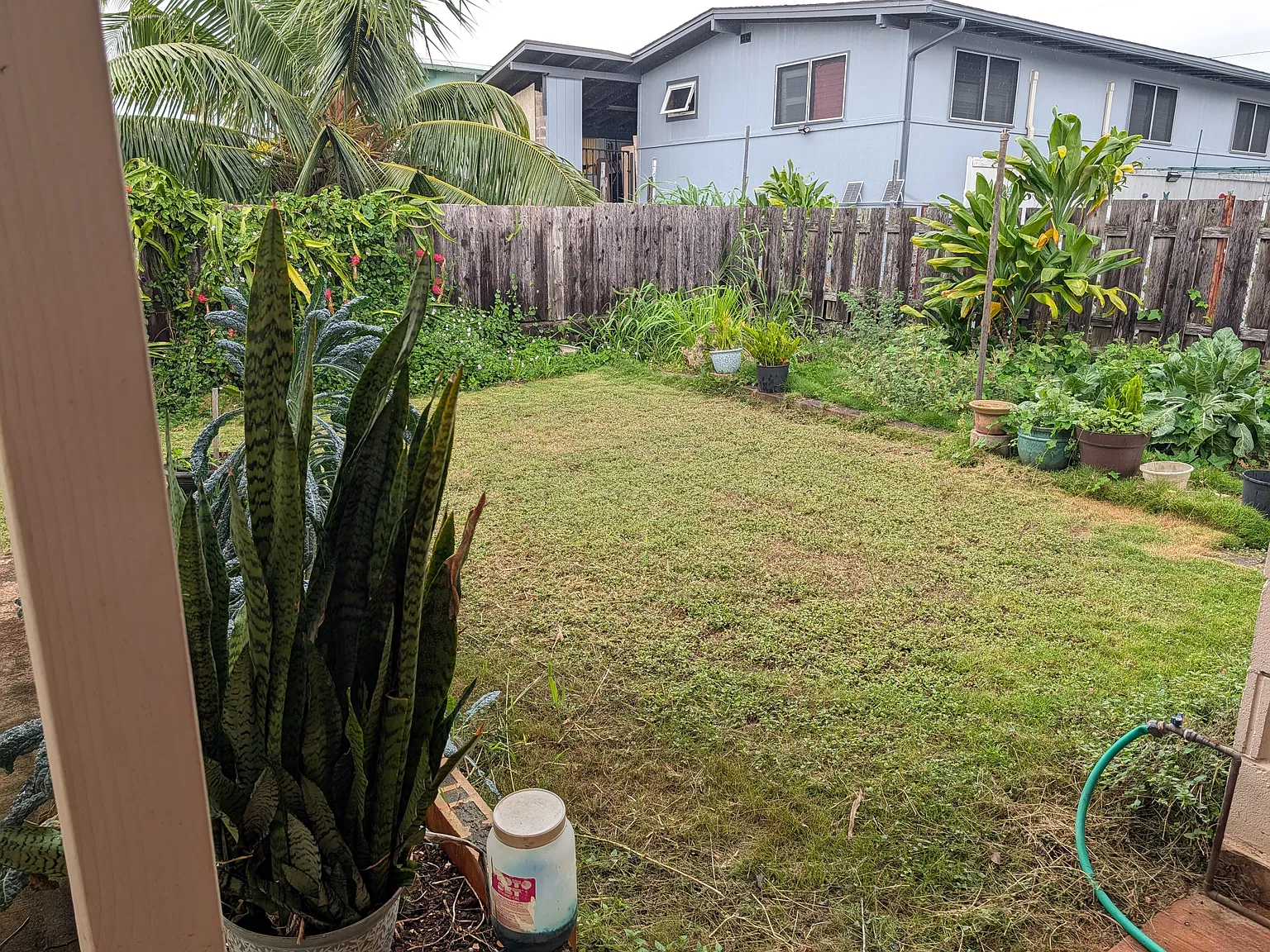 3 bed, 1128 sqft, $3,800 — Photo 2