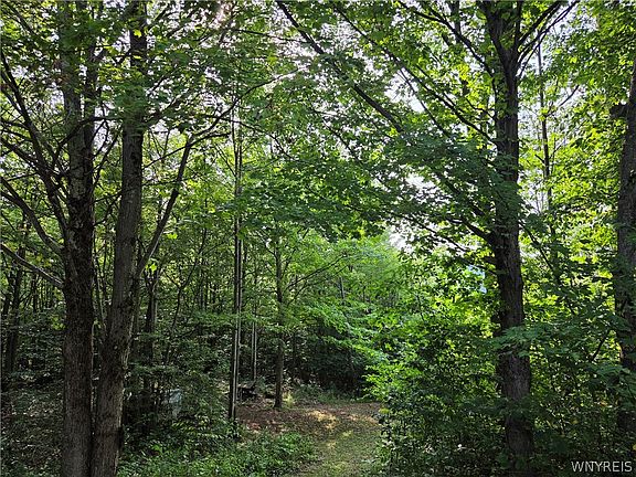 4th image of 9797 White Meeting House Rd Lot 15