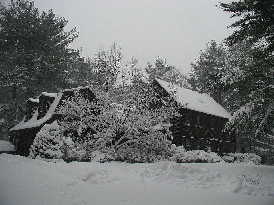 Winter