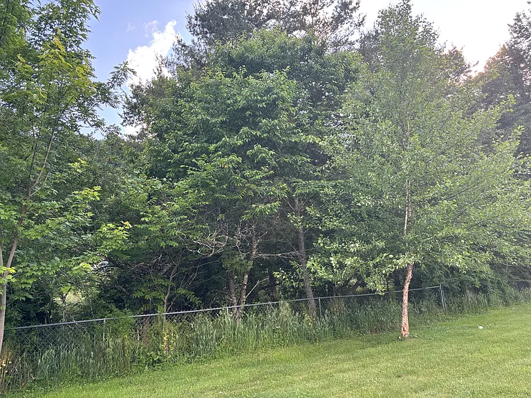 144 Daniel Boone Dr — Photo 28