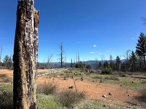 4th image of 1120 W Upper Democrat Gulch Rd