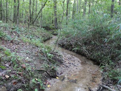 0 Ellington Rd, Oxford, GA, 30054