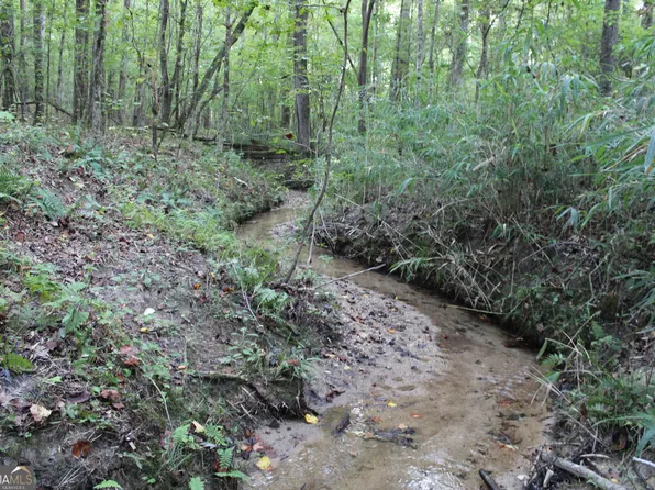 0 Ellington Rd, Oxford, GA 30054